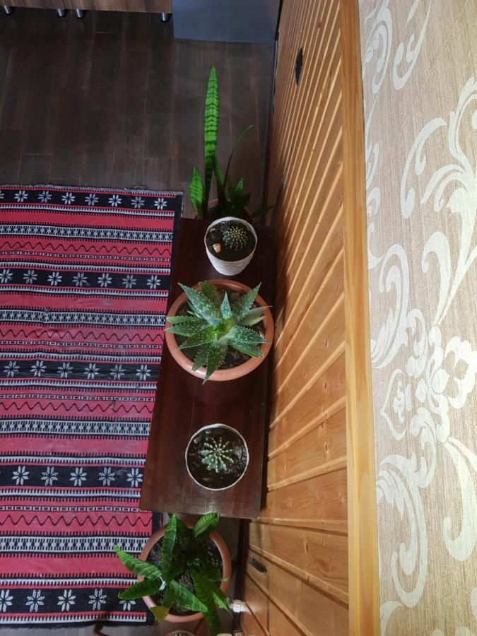 Отель Cozy House Kazbegi Экстерьер фото