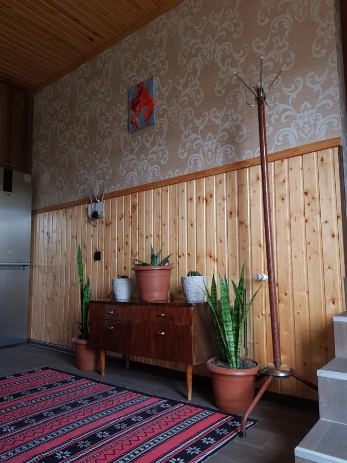 Отель Cozy House Kazbegi Экстерьер фото